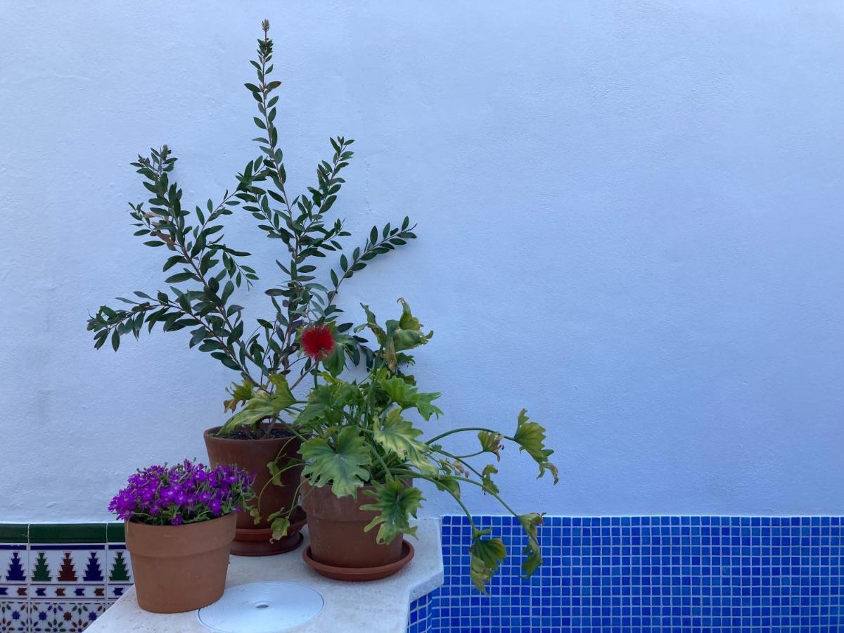 Casa Clemente 32, Private House With Plunge Pool Apartment Málaga Exterior foto