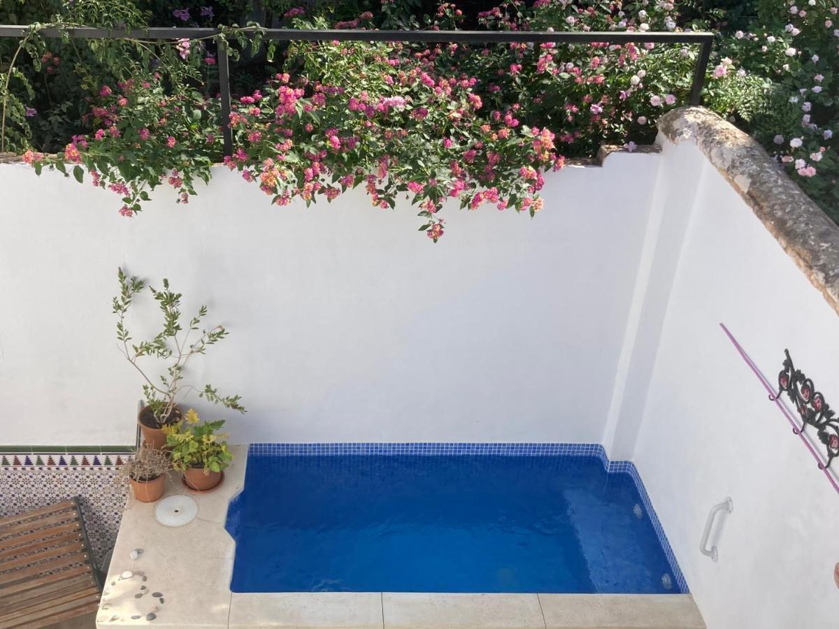 Casa Clemente 32, Private House With Plunge Pool Apartment Málaga Exterior foto