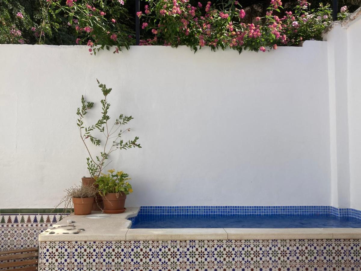 Casa Clemente 32, Private House With Plunge Pool Apartment Málaga Exterior foto